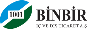 binbir logo